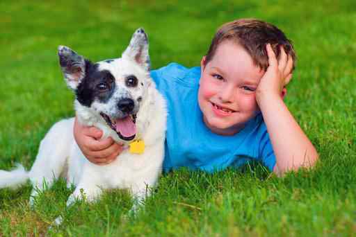 boy in field with dog no allergies